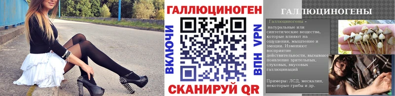 Купить  Бузулук  Псилоцибиновые грибы мицелий 